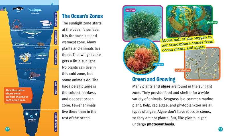 Sample content 2_Oceans in Danger (A True Book: The Earth at Risk)