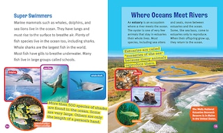 Sample content 3_Oceans in Danger (A True Book: The Earth at Risk)