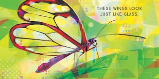 Sample content 2_Odd Bugs (A Curious Crittters Board Book)