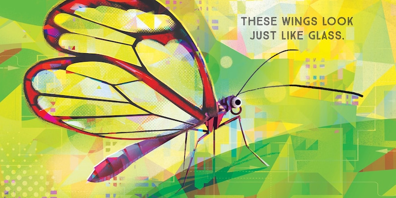 Sample content 2_Odd Bugs (A Curious Crittters Board Book)