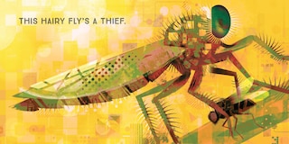 Sample content 3_Odd Bugs (A Curious Crittters Board Book)