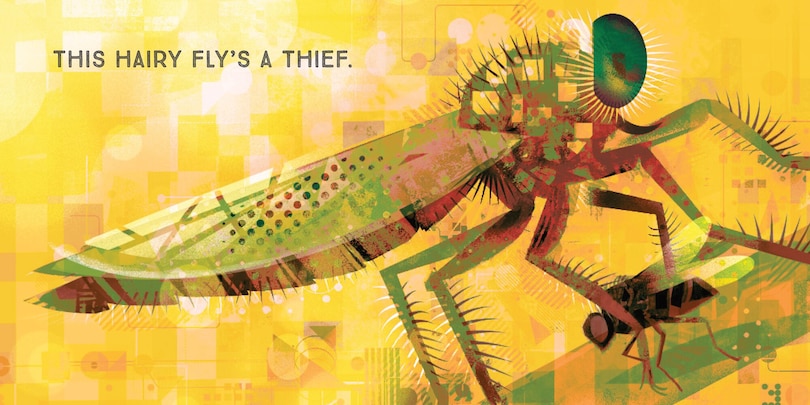 Sample content 3_Odd Bugs (A Curious Crittters Board Book)