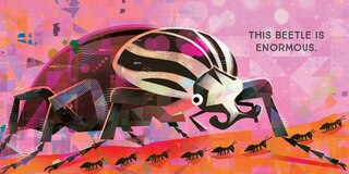 Sample content 4_Odd Bugs (A Curious Crittters Board Book)