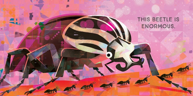 Sample content 4_Odd Bugs (A Curious Crittters Board Book)