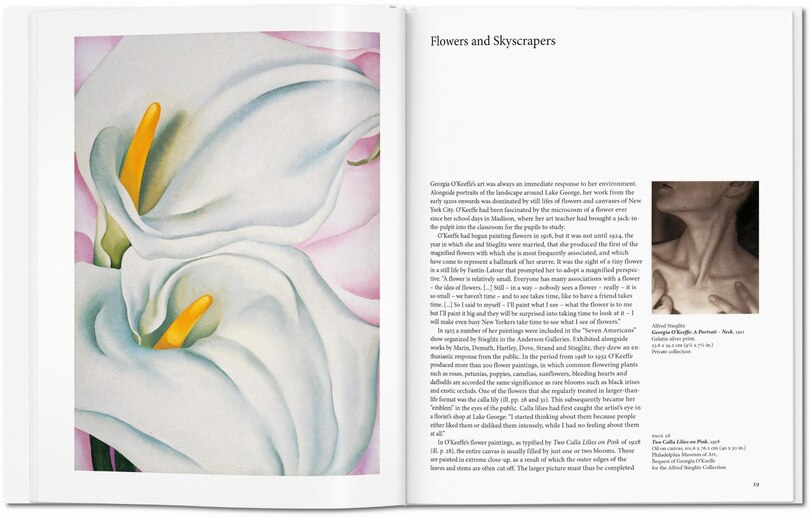 Sample content 3_O'Keeffe