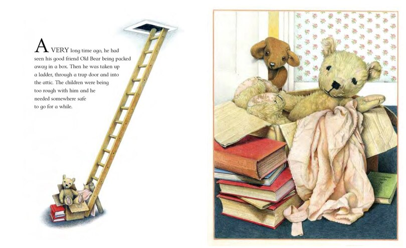 Aperçu du contenu 2_Old Bear