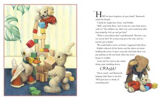 Aperçu du contenu 3_Old Bear