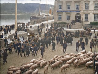 Aper&ccedil;u du contenu 5_Old Ireland In Colour 2