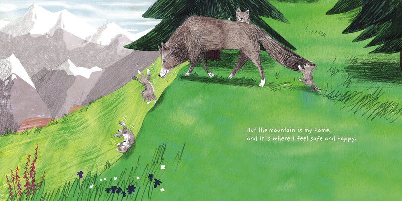 Sample content_On My Mountain