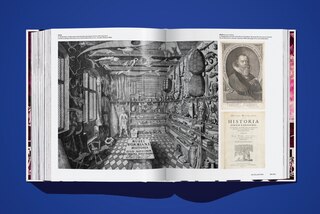 Sample content_On NFTs