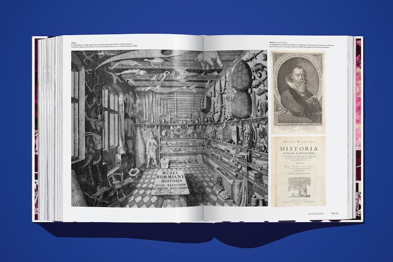 Sample content_On NFTs