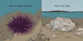 Sample content 3_On The Arctic Shoreline