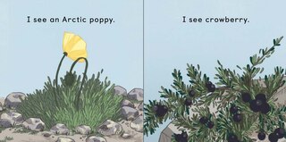 Sample content 3_On The Tundra