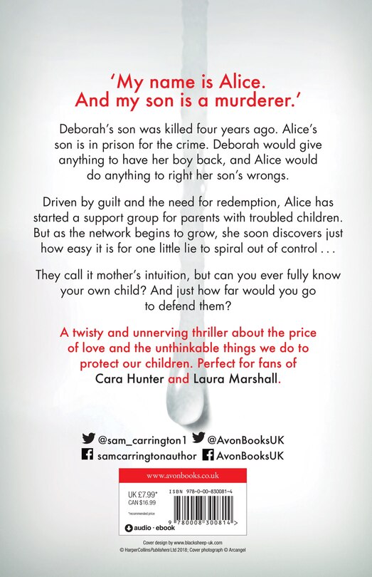 Couverture arri&egrave;re_One Little Lie