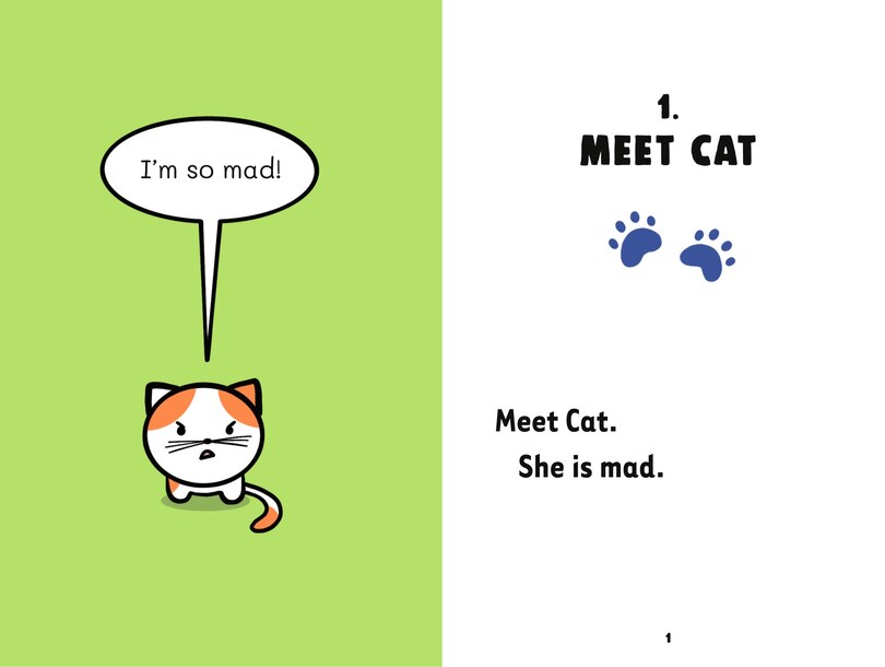 Sample content 3_One Mad Cat and the Missing Book