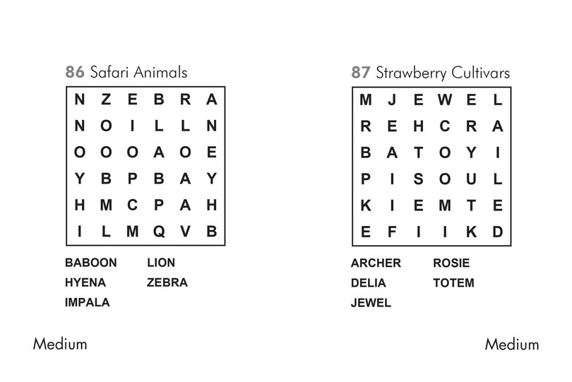 Aper&ccedil;u du contenu 2_One Minute Wordsearch Book 1