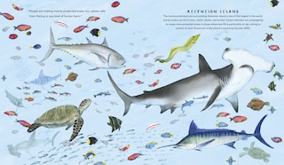 Aper&ccedil;u du contenu 2_One Ocean: A Journey Beneath the Waves