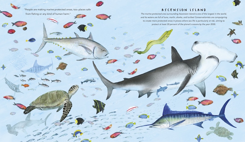 Aper&ccedil;u du contenu 2_One Ocean: A Journey Beneath the Waves