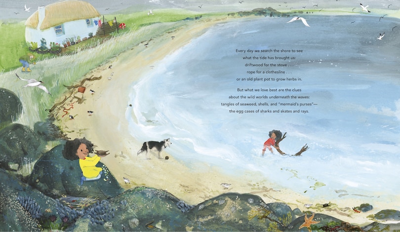 Aper&ccedil;u du contenu 4_One Ocean: A Journey Beneath the Waves