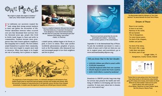 Sample content_One Peace