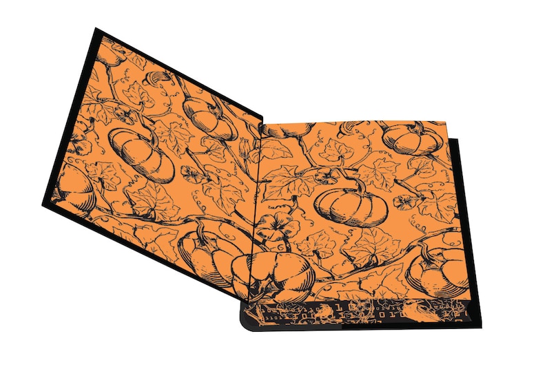 Aper&ccedil;u du contenu 2_One Shattered Crown: Deluxe Limited Edition