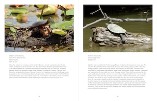 Aper&ccedil;u du contenu 2_Ontario Wildlife Photography