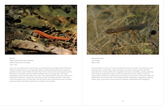 Aper&ccedil;u du contenu 3_Ontario Wildlife Photography
