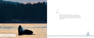 Sample content_Orcas Of The Salish Sea