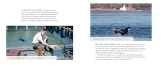 Sample content 3_Orcas Of The Salish Sea