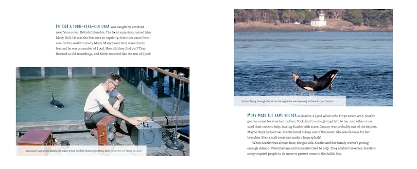 Sample content 3_Orcas Of The Salish Sea