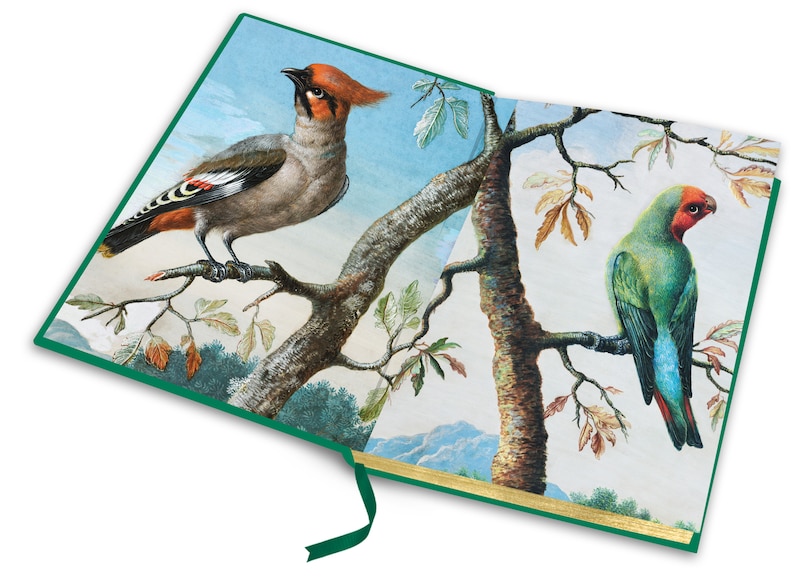 Aper&ccedil;u du contenu_Origin of Species (Deluxe Hardbound Edition) , The