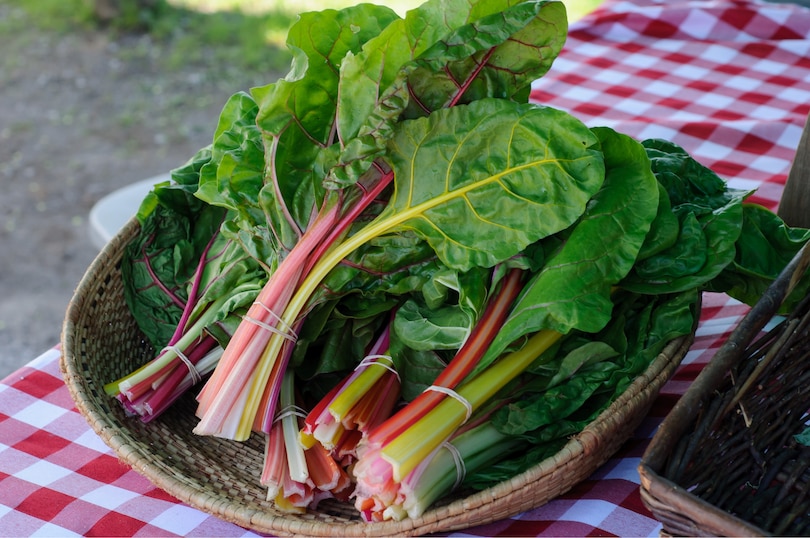 Sample content_Ottawa Food