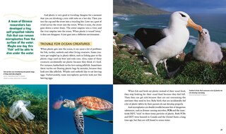 Sample content 5_Our Plastic Problem