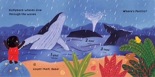 Aper&ccedil;u du contenu 2_Our World: Colombia