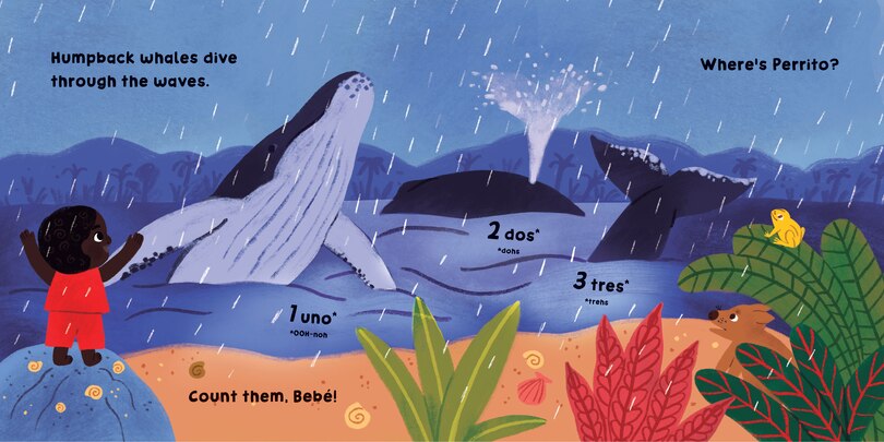 Aper&ccedil;u du contenu 2_Our World: Colombia