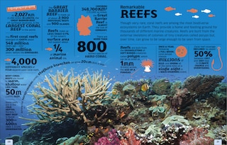 Aperçu du contenu 5_Our World in Numbers: Planet Earth