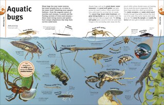 Sample content 3_Our World in Pictures Bugs, Butterflies, Beetles and Bees