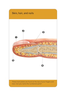 Aper&ccedil;u du contenu_Our World in Pictures Human Body Flash Cards