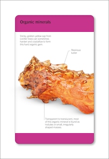 Aper&ccedil;u du contenu_Our World in Pictures Rocks and Minerals Flash Cards