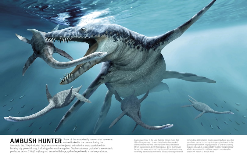 Aper&ccedil;u du contenu_Our World in Pictures The Dinosaur Book