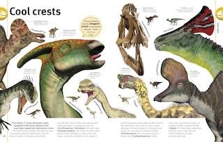 Aper&ccedil;u du contenu 3_Our World in Pictures The Dinosaur Book