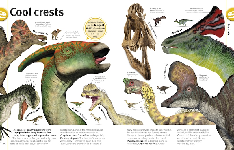 Aper&ccedil;u du contenu 3_Our World in Pictures The Dinosaur Book