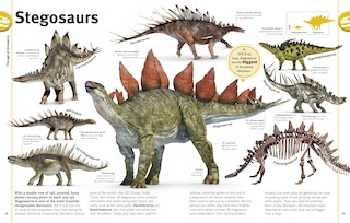 Aper&ccedil;u du contenu 4_Our World in Pictures The Dinosaur Book