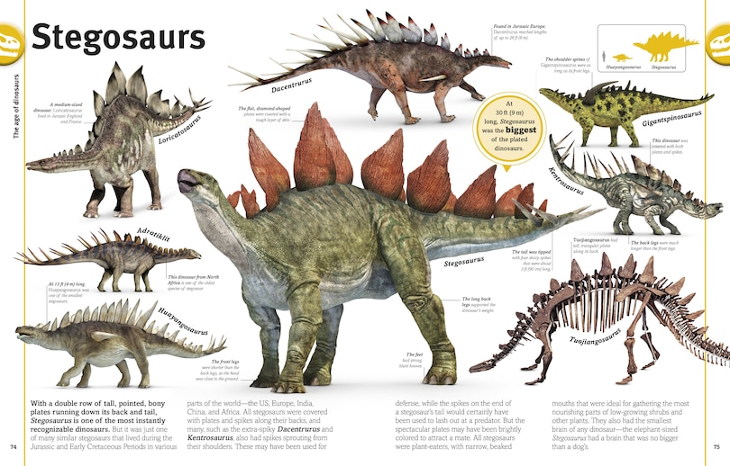 Aper&ccedil;u du contenu 4_Our World in Pictures The Dinosaur Book