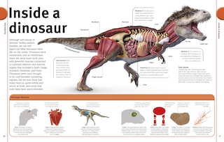 Aper&ccedil;u du contenu 5_Our World in Pictures The Dinosaur Book