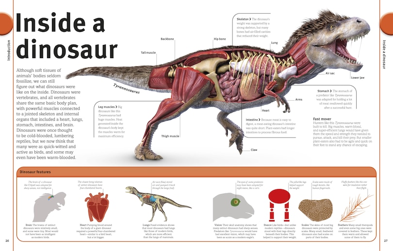 Aper&ccedil;u du contenu 5_Our World in Pictures The Dinosaur Book