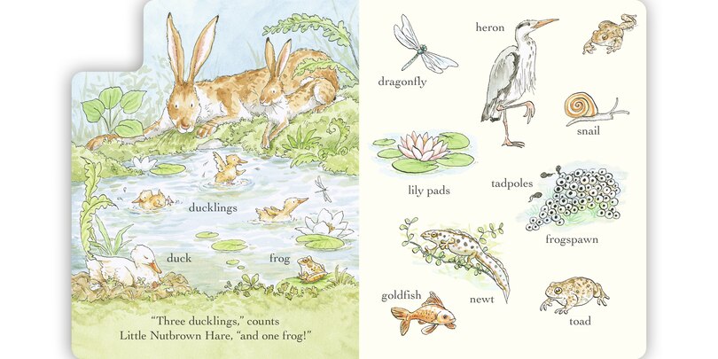 Sample content_Out and About in 100 Words: A Guess How Much I Love You Book
