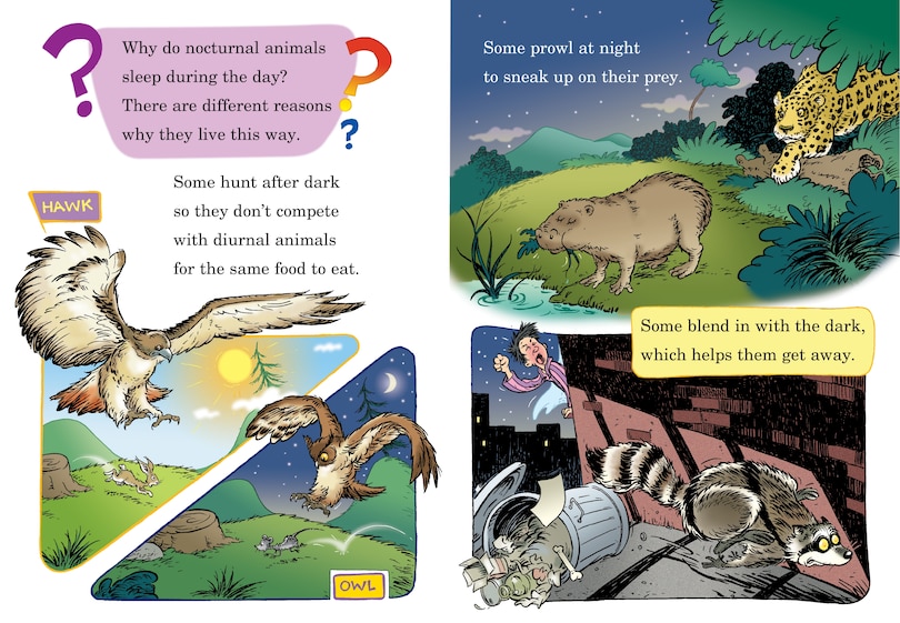Aperçu du contenu_Out of Sight Till Tonight! All About Nocturnal Animals