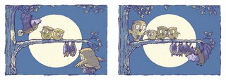 Sample content 2_Owl Bat Bat Owl