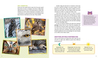 Aperçu du contenu 2_Owls